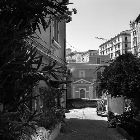 Cda Guest Rooms-near Toledo & Historic Centre 4* Naples